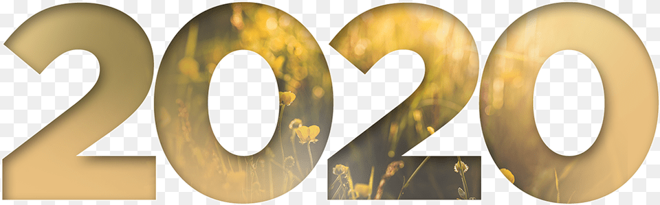 2020 Graphic, Number, Symbol, Text Free Png Download