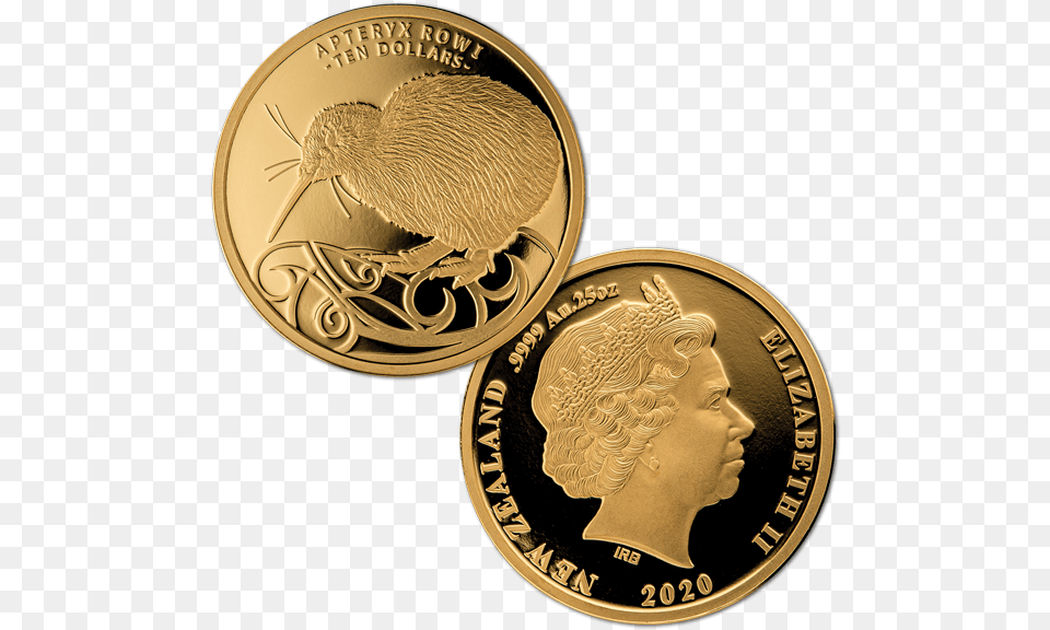 2020 Kiwi 1 4oz Gold Proof Coin, Person, Money, Animal, Bird Png Image