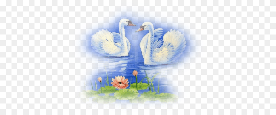 Swan, Animal, Bird Free Png