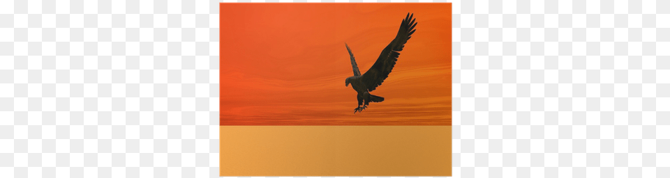Desert Eagle, Animal, Bird, Flying, Vulture Free Png Download