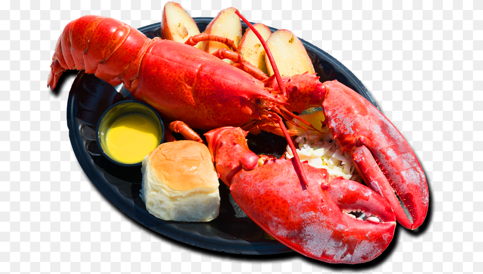 20th Annual Redondo Beach Lobster Festival Is The New Lobster Festival Redondo Beach, Animal, Food, Invertebrate, Sea Life Free Png Download