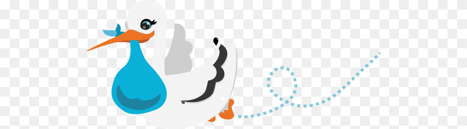 21 Inches Congratulations Its A Boy, Animal, Beak, Bird, Art Png