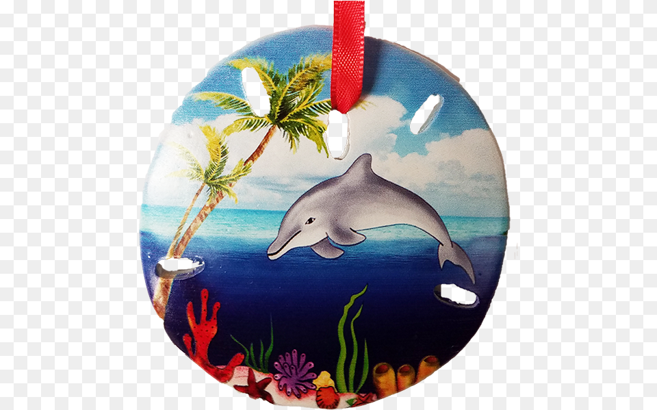 21 Sand Dollar Dolphin Palm Common Dolphins, Accessories, Nature, Outdoors, Sea Free Transparent Png