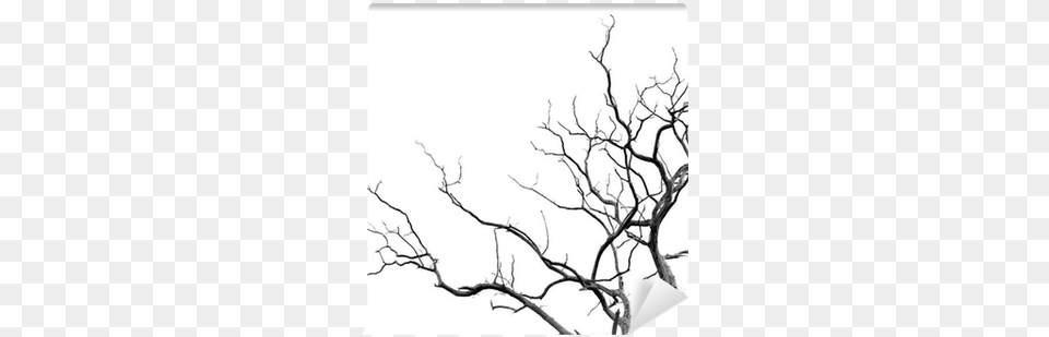 Dead Trees, Art, Silhouette, Drawing, Plant Free Png Download