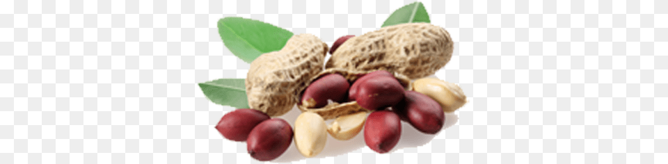 Peanuts, Food, Nut, Plant, Produce Free Png