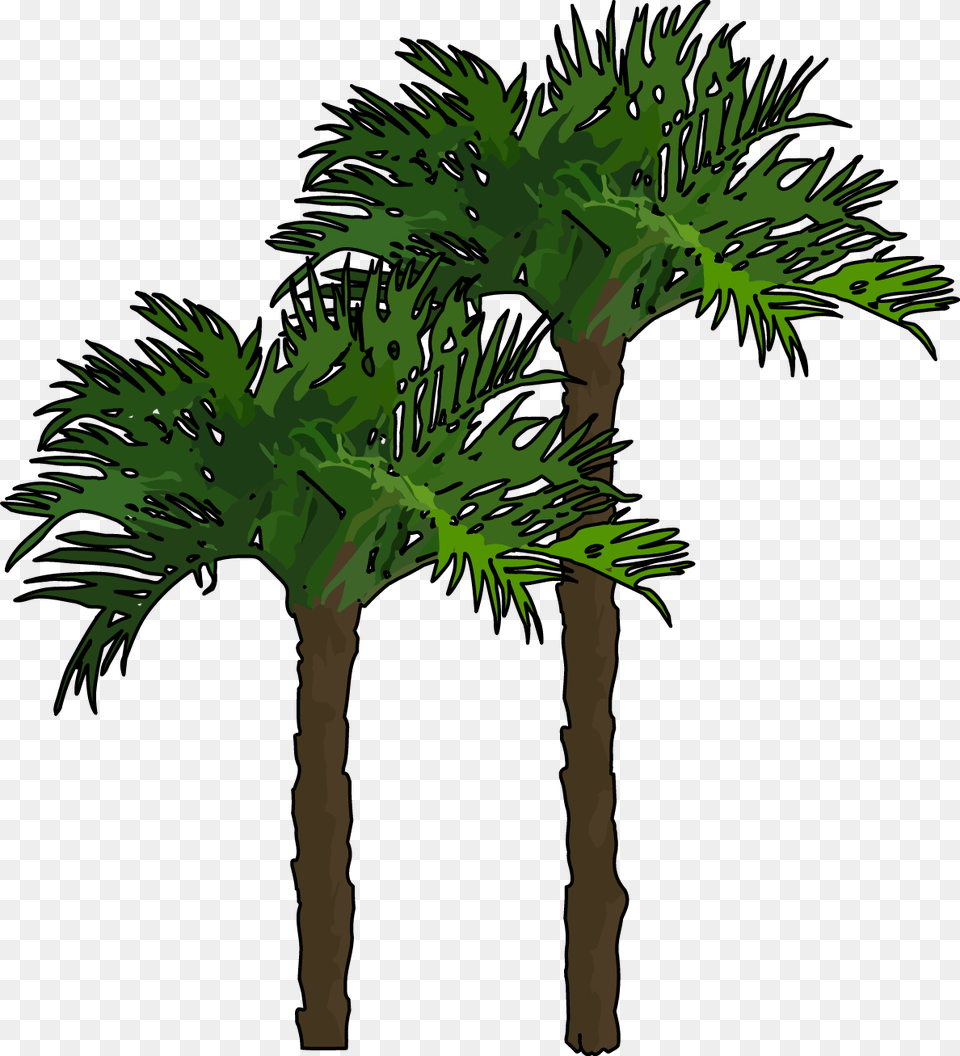 Palmeras, Palm Tree, Plant, Tree, Animal Free Png