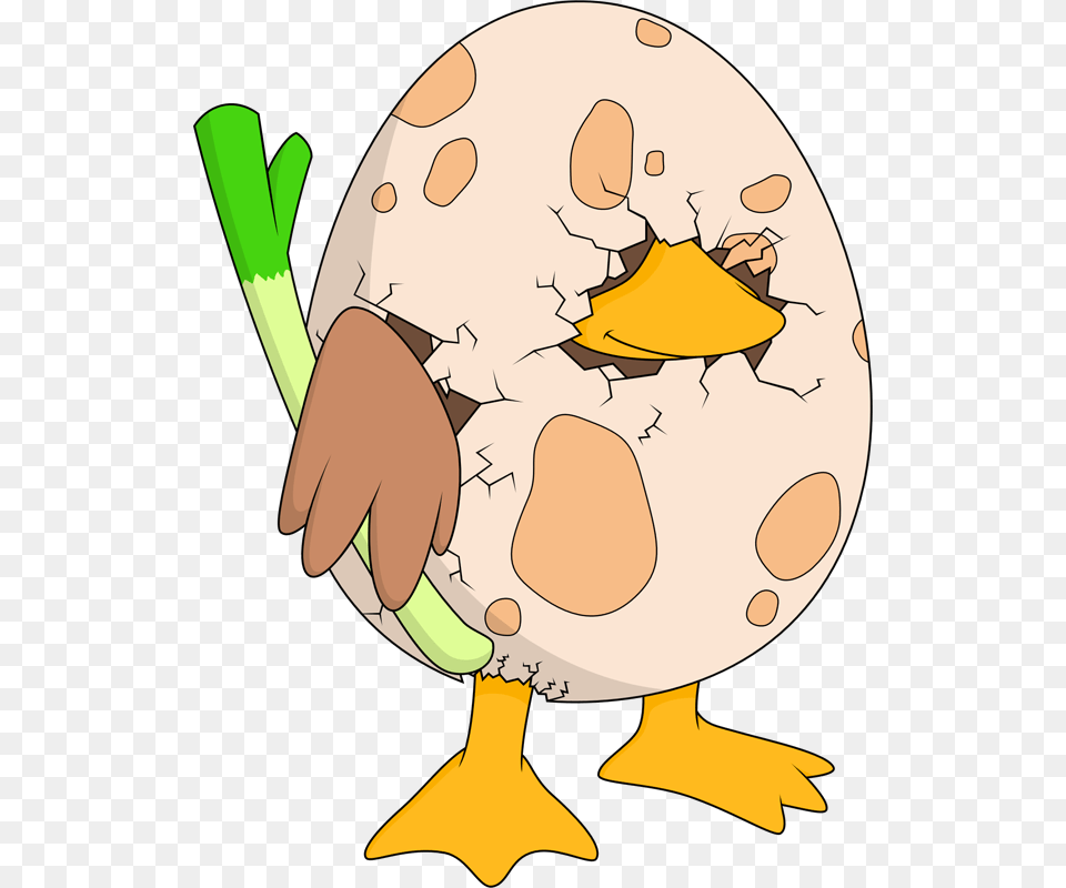 Torchic, Food, Baby, Person, Egg Free Png Download