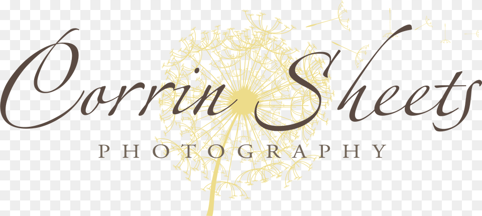 Corrin, Flower, Plant, Dandelion Free Png Download