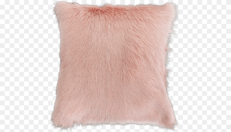 Adore Wool, Cushion, Home Decor, Pillow, Animal Png Image