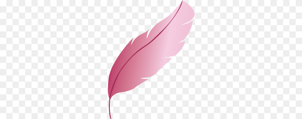Pluma, Bottle, Adult, Female, Person Free Png