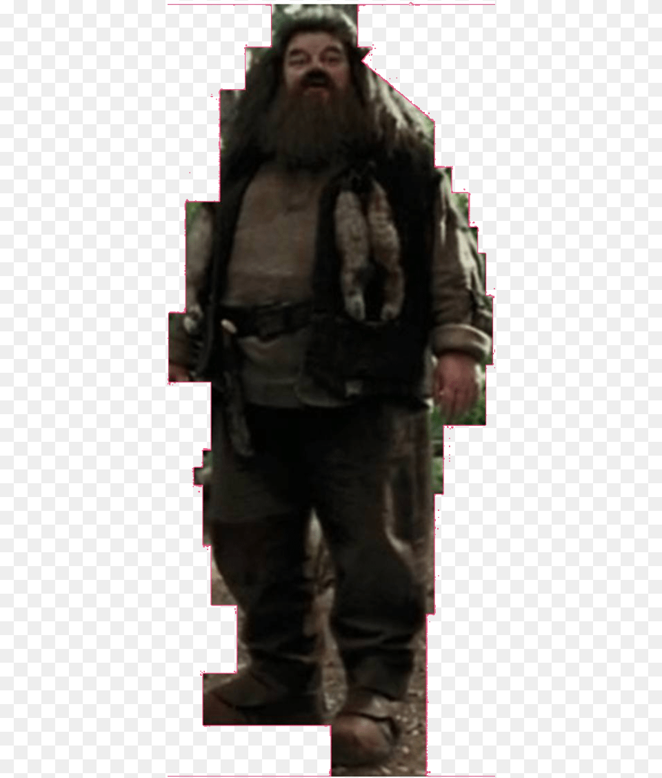 Hagrid, Adult, Person, Man, Male Png