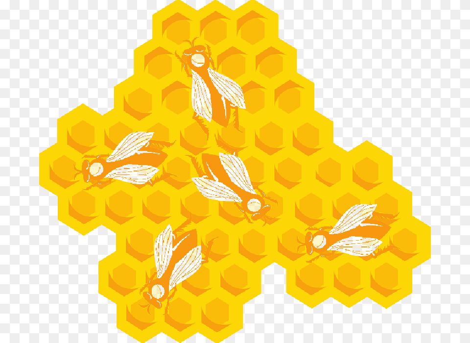 Bee Hive, Food, Honey, Honeycomb, Animal Free Png Download