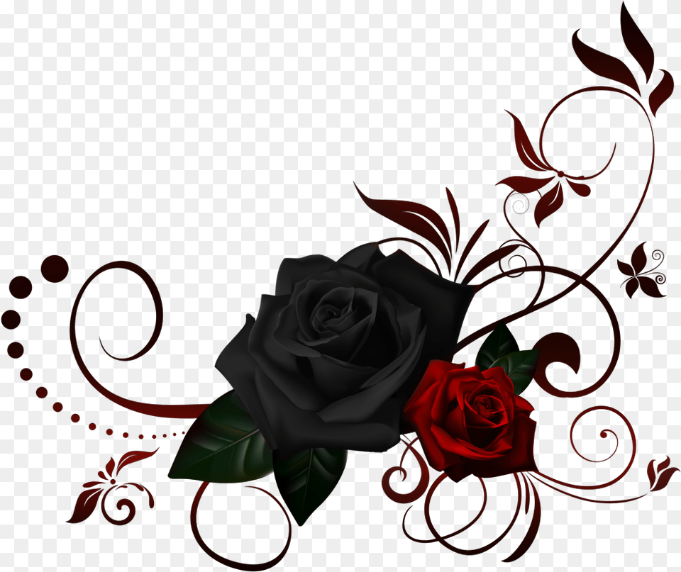 Red Rose Corner Border Black Rose Border, Flower, Plant, Art, Graphics Free Transparent Png