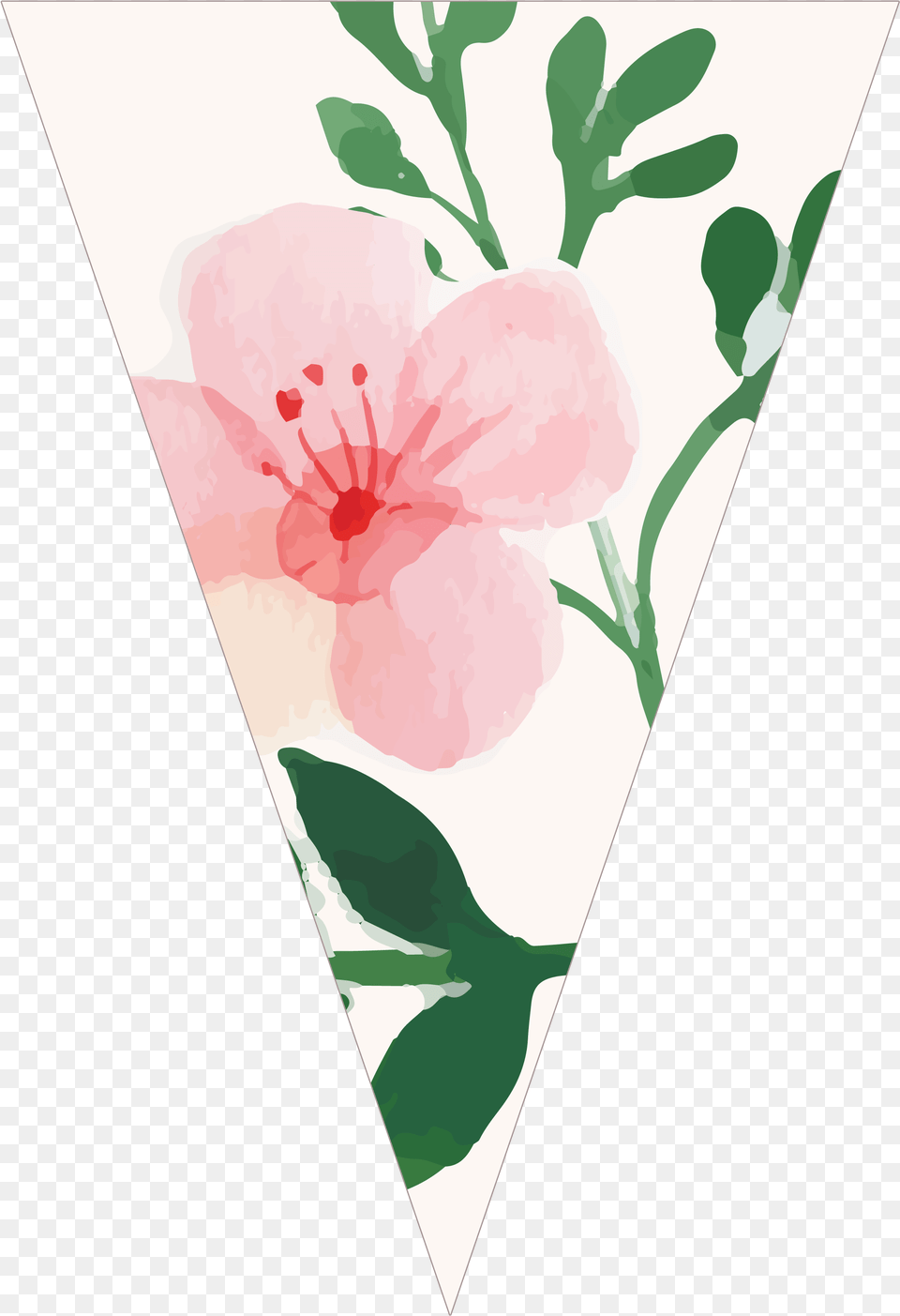 Banderines, Flower, Plant, Petal Png Image