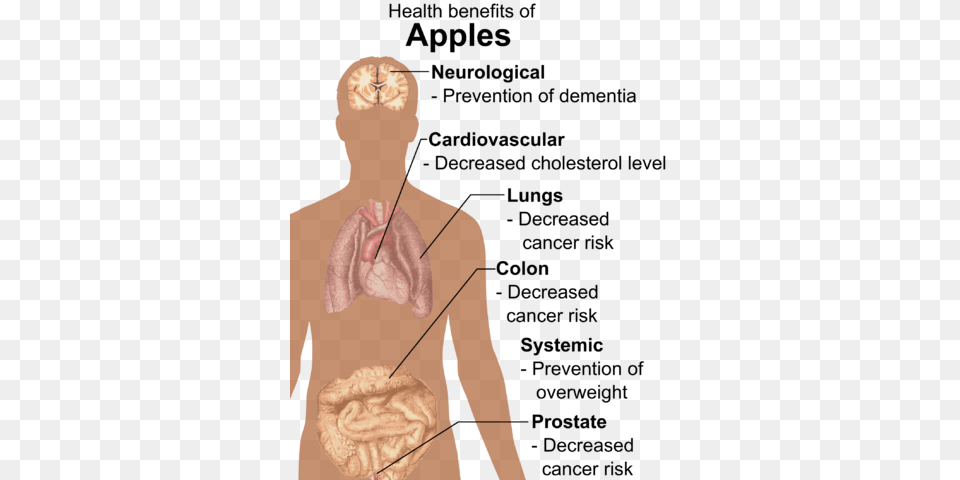 240 Health Benefits Of Apples, Adult, Male, Man, Person Free Transparent Png