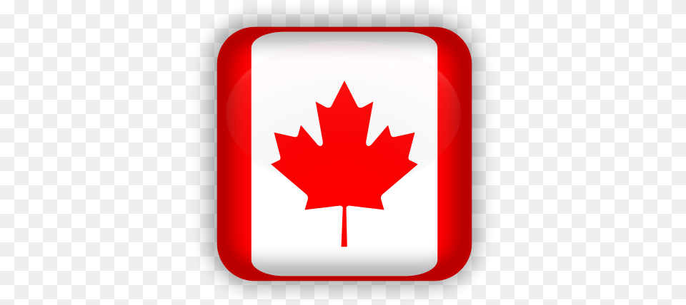 240 Pixels Canada Flag Logo, Leaf, Maple Leaf, Plant, First Aid Png