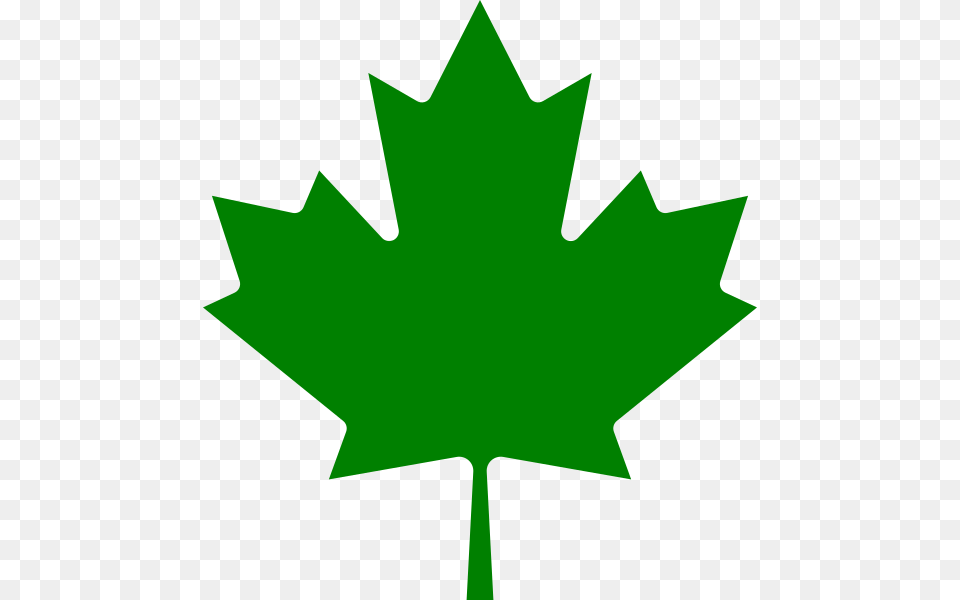 240 Pixels Green Canadian Maple Leaf, Plant, Maple Leaf, Cross, Symbol Png Image