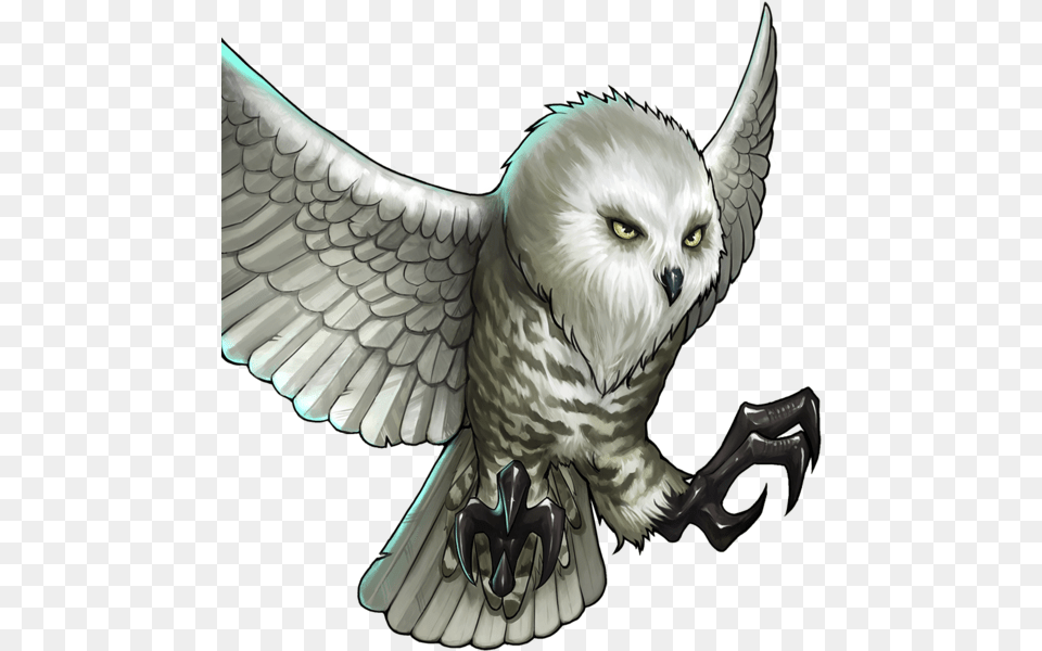 240 Pixels Snowy Owl, Electronics, Hardware, Animal, Fish Free Transparent Png