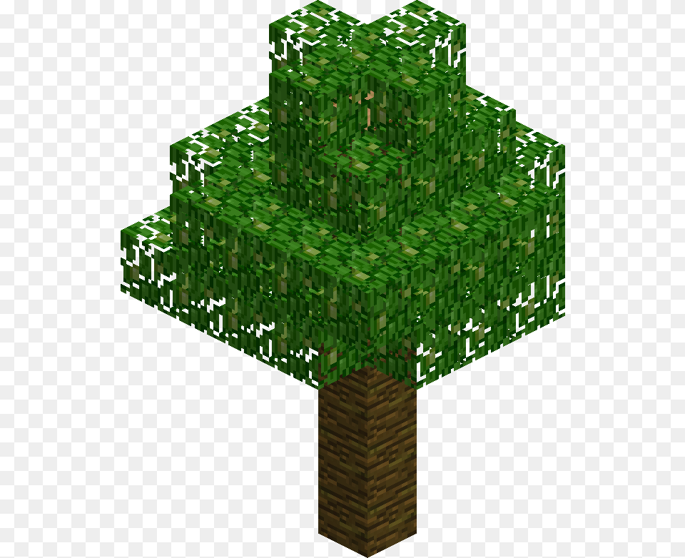 240 Portable Network Graphics, Green, Plant, Tree, Vegetation Png