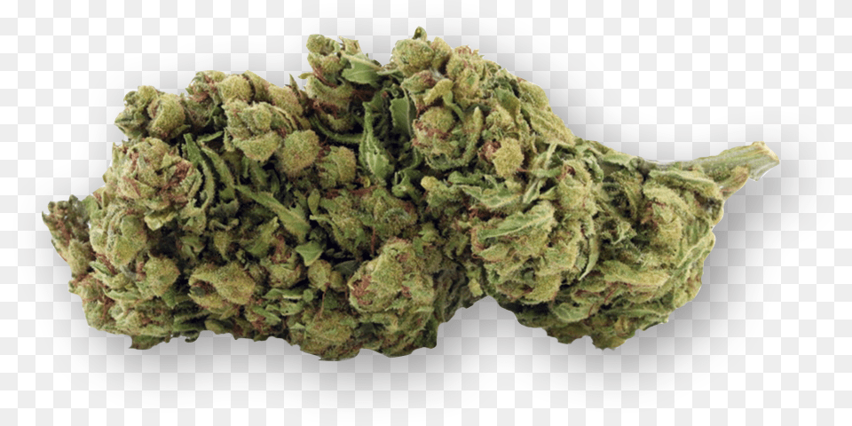 Weed Nugget, Plant Png