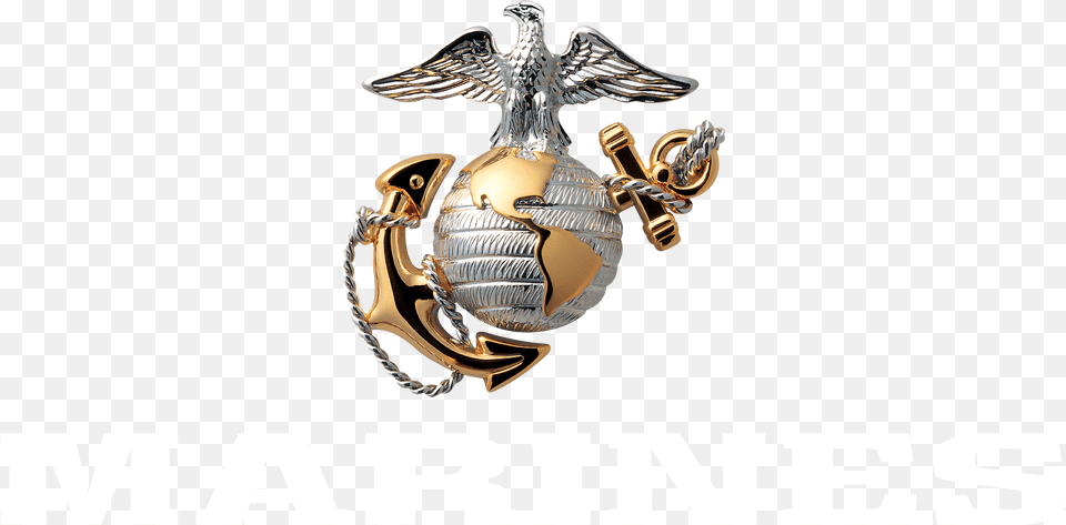 243rd Marine Corps Birthday, Animal, Bird, Accessories Free Png Download