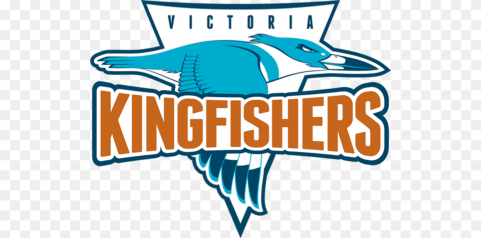 Kingfisher Logo, Animal, Bird, Jay, Fish Png