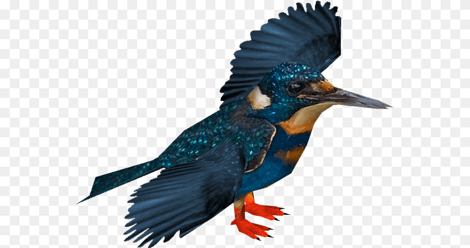 Kingfisher Logo, Animal, Beak, Bird, Jay Png