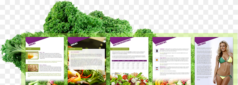 Grass Plan, Advertisement, Poster, Person, Plant Png Image