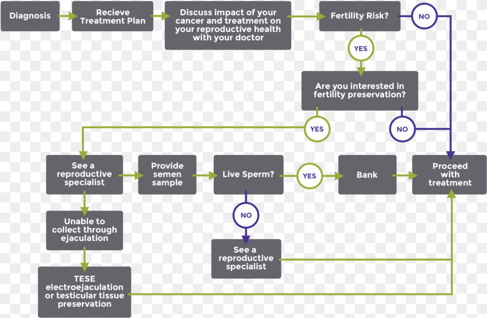 25 Onco Patientmens Proof Feb9 3 Ddos Incident Response Flowchart, Diagram, Uml Diagram Free Png Download