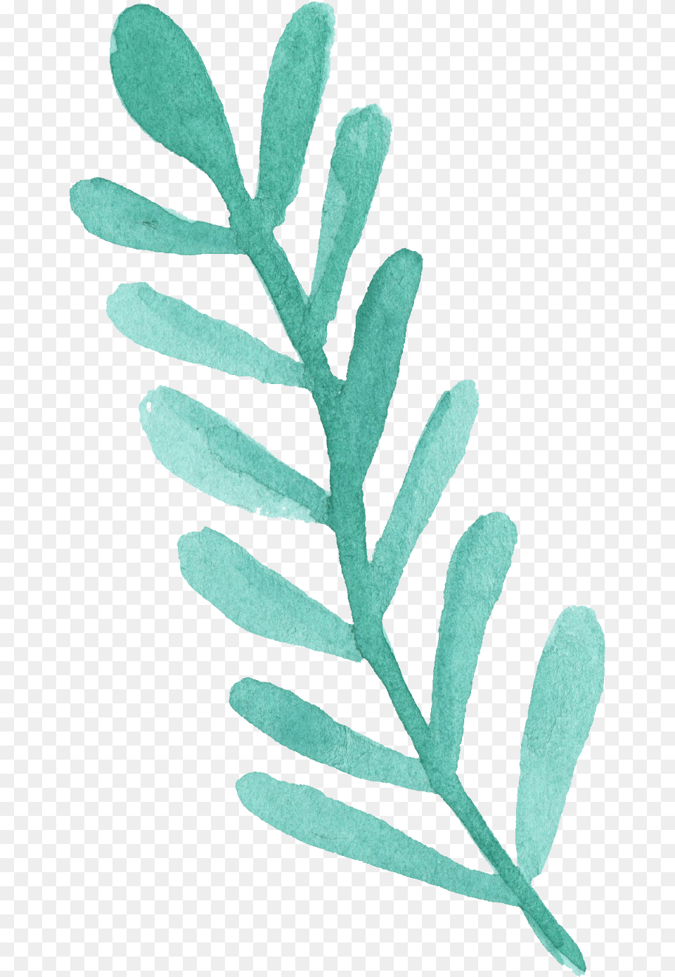 25 Watercolor Leaf Vol 3 Onlygfxcom Watercolor Leaf Blue, Herbal, Herbs, Plant, Astragalus Free Transparent Png