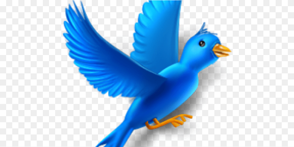 Flying Birds Clipart, Animal, Bird, Jay, Bluebird Free Png Download