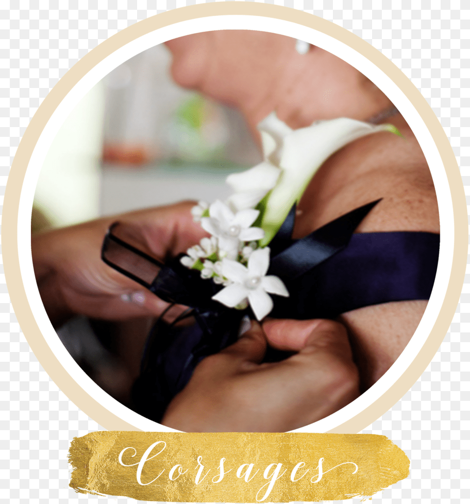 Wedding Hand, Flower Bouquet, Plant, Flower Arrangement, Flower Free Transparent Png