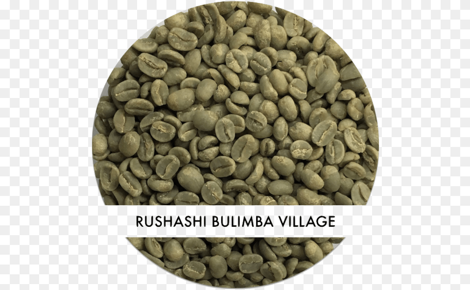 Coffee Seeds, Beverage, Coffee Beans Free Png Download