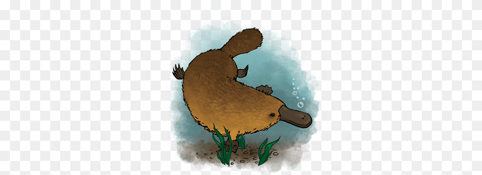 Sloth, Animal, Mammal, Rodent, Wildlife Free Transparent Png