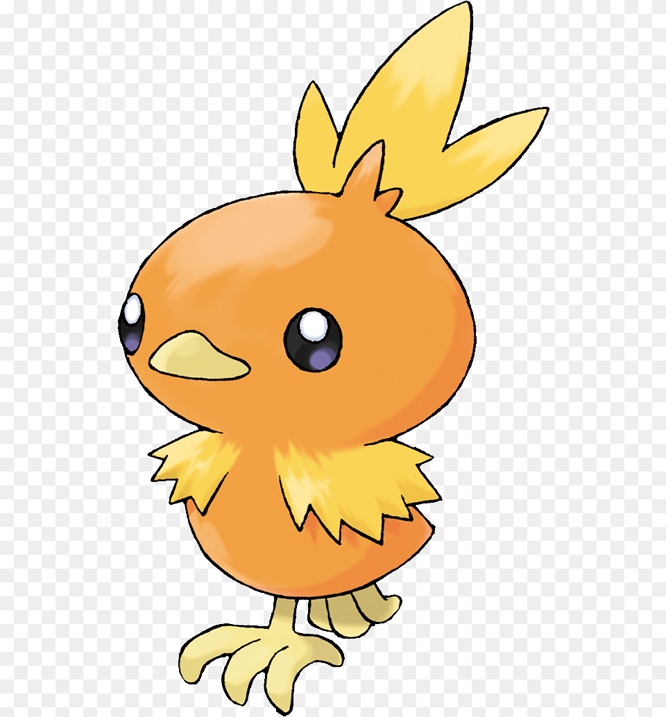 255torchic Pokemon Torchic, Face, Head, Person, Baby Free Transparent Png