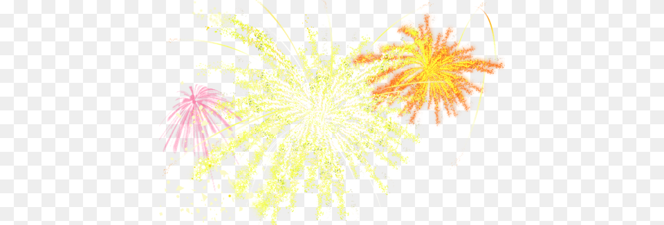 New Year Crackers, Leaf, Plant, Pattern, Fireworks Free Transparent Png