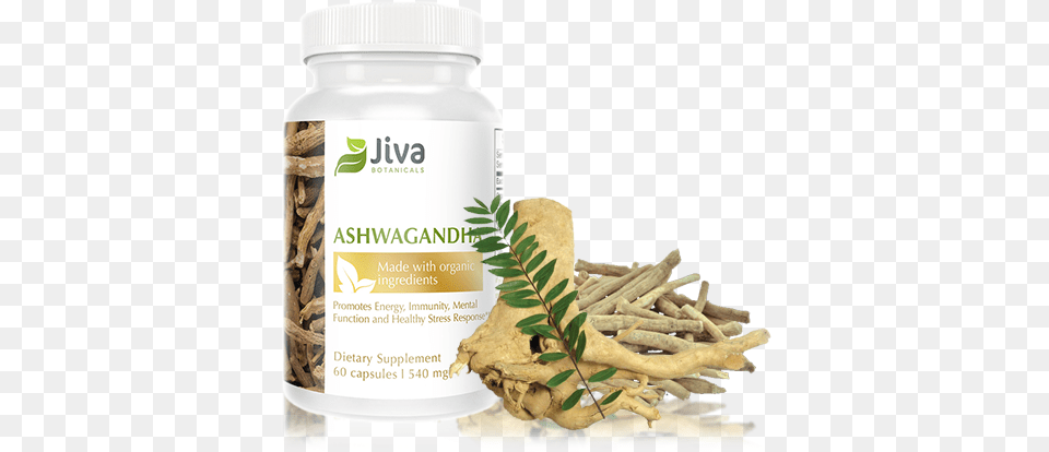 Indica, Astragalus, Flower, Herbal, Herbs Free Png