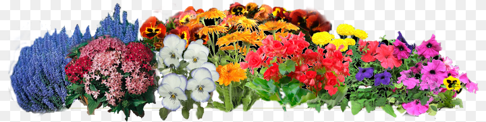 Spring Flowers, Flower, Flower Arrangement, Flower Bouquet, Plant Free Png Download
