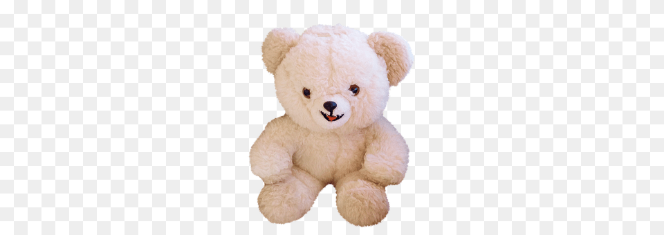 Teddy Bear, Toy Png Image