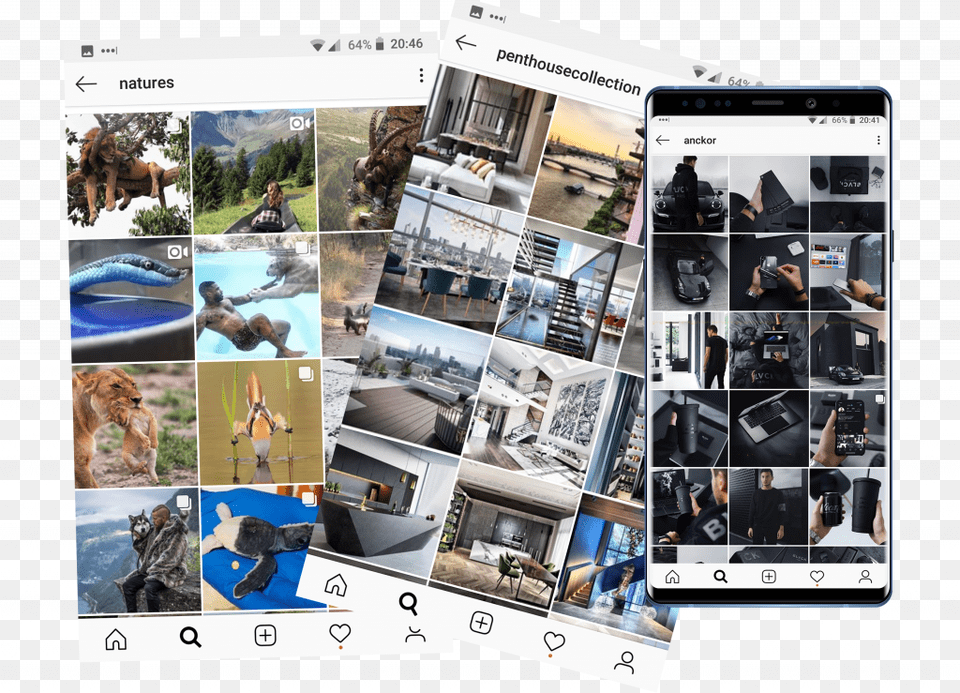 Instagram Filter, Wildlife, Animal, Art, Collage Free Png Download