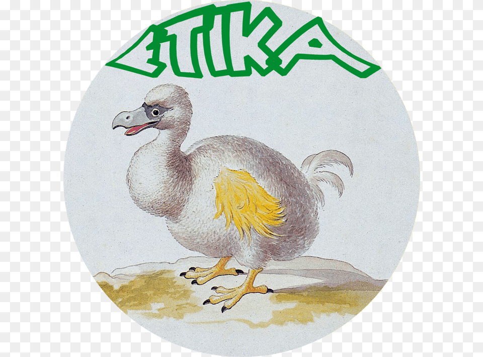 Etika, Animal, Bird, Dodo Free Png Download