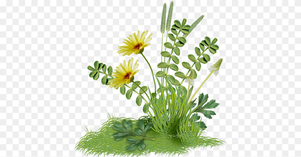 Easter Grass, Flower, Flower Arrangement, Plant, Herbal Free Png Download