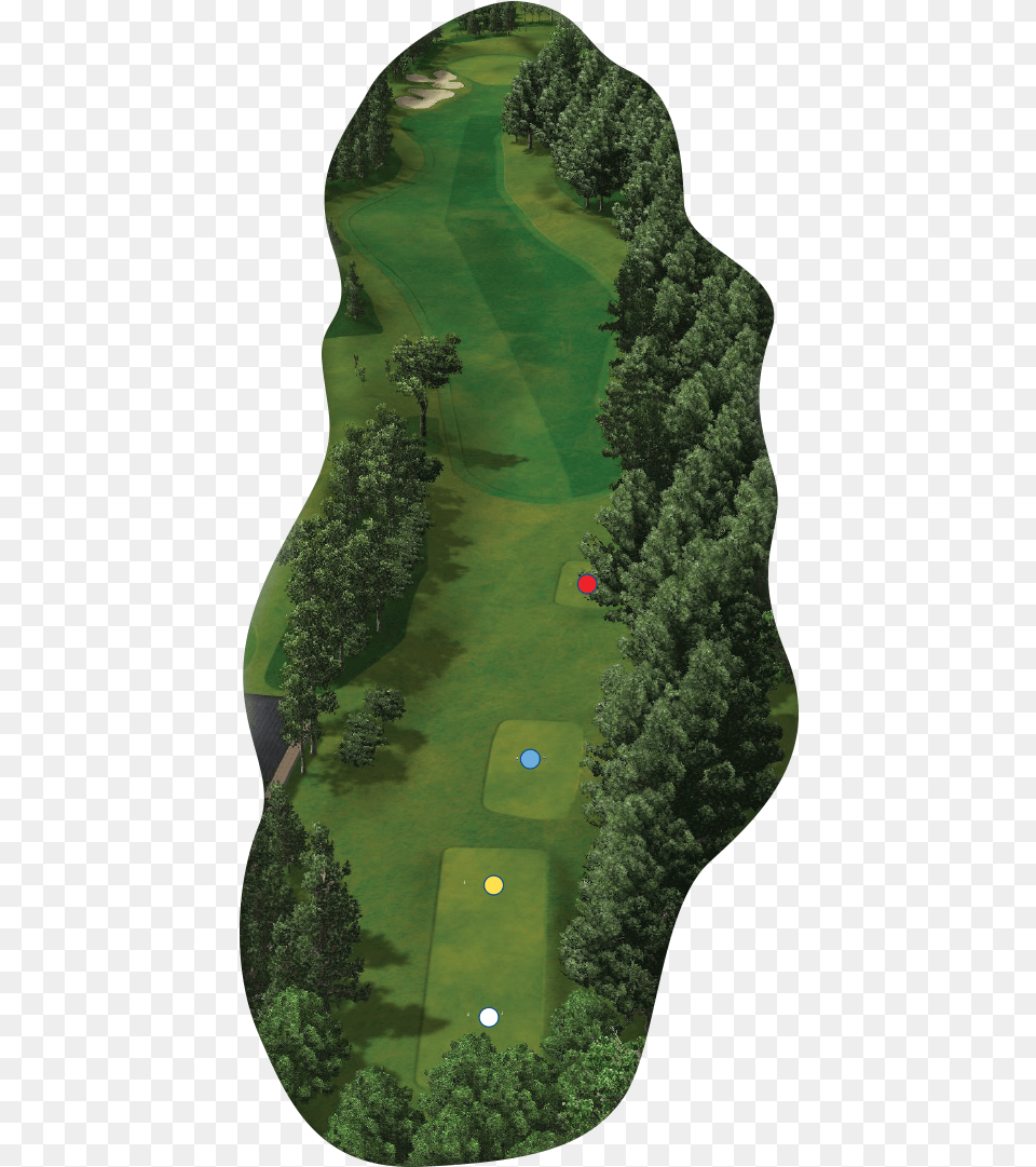 Aerial Tree, Field, Nature, Outdoors, Golf Free Png