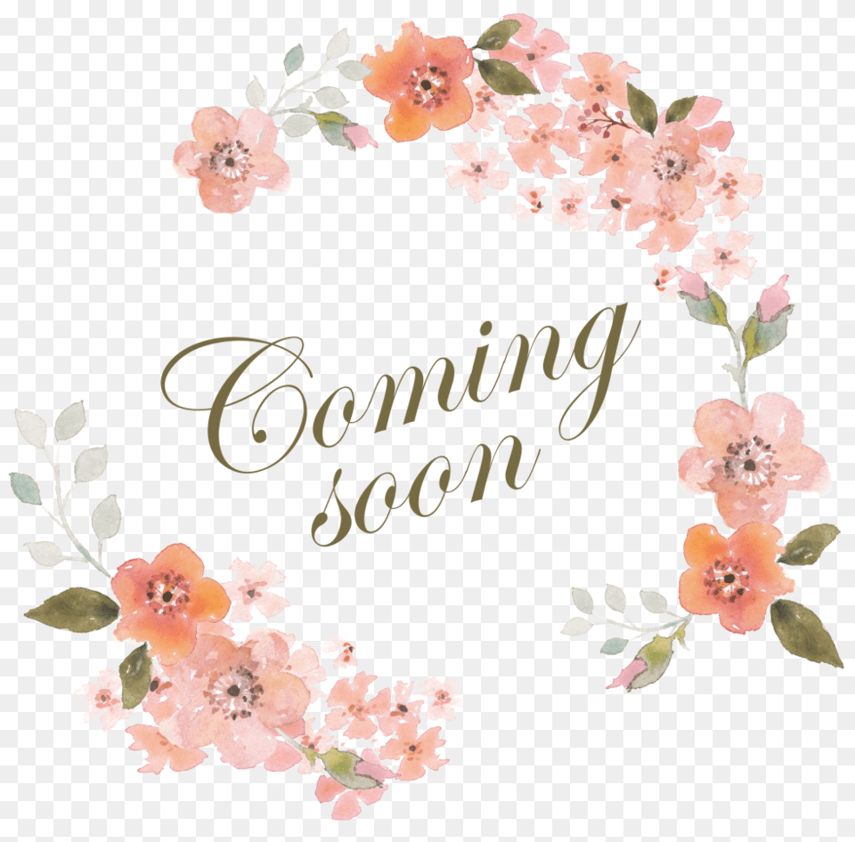 Coming Soon Sign, Plant, Flower, Cherry Blossom, Adult Free Transparent Png