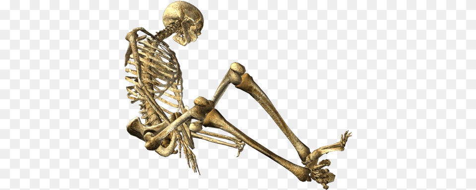 Skeleton Free Png