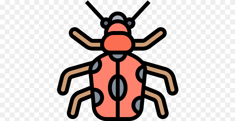 274 Vector Icons Of Entomology Parasitism, Animal Free Png