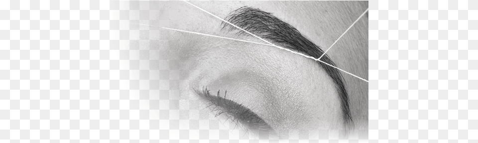 Eye Brow, Adult, Female, Person, Woman Free Png Download