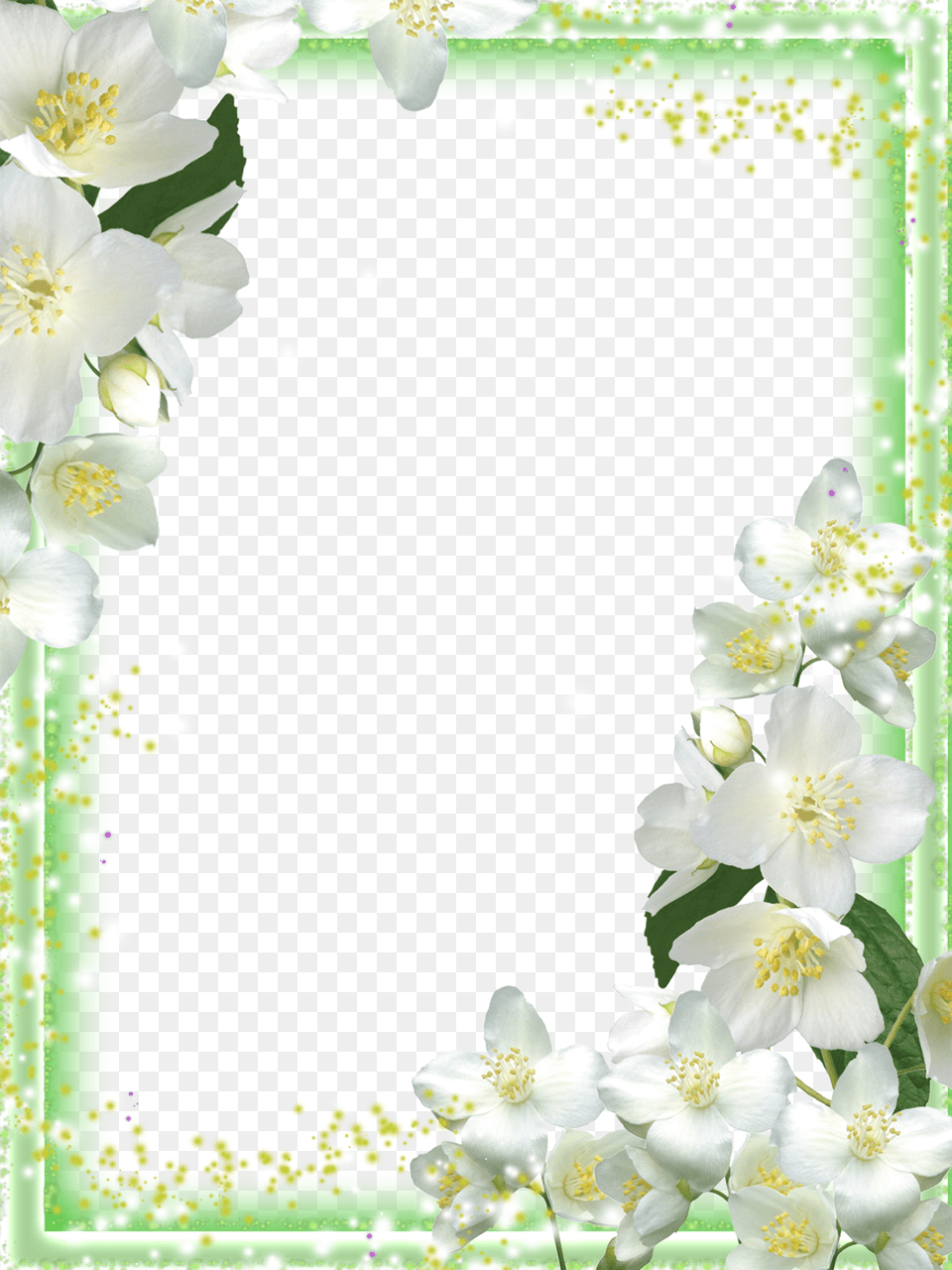Jasmine Flower, Plant, Anther, Anemone, Envelope Free Png Download