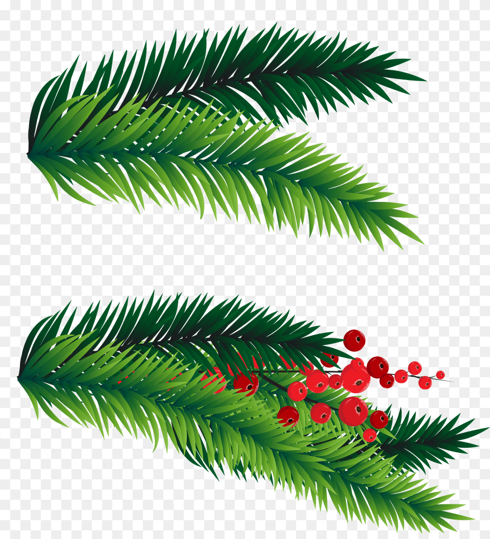 28 Collection Of Christmas Tree Branches Clipart Christmas Tree Branch, Graphics, Art, Plant, Pattern Png
