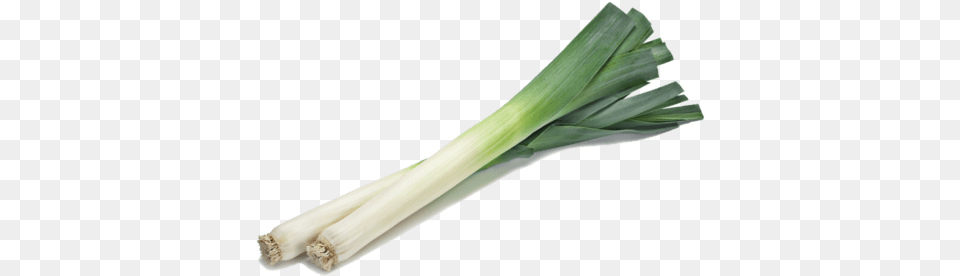 Leek, Food, Plant, Produce, Vegetable Free Png